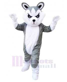 Wolf mascot costume