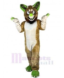 Wolf mascot costume