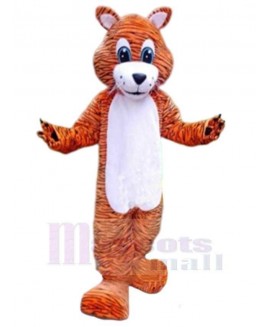 Tiger mascot costume