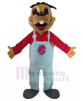 Dog mascot costume