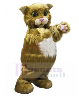 cat mascot costume