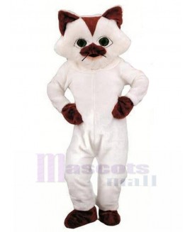 cat mascot costume