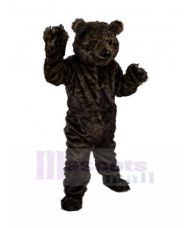 Bear mascot costume