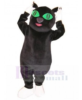 cat mascot costume