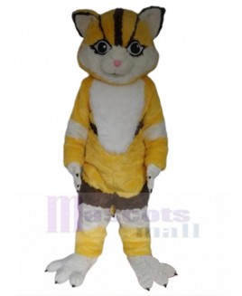 cat mascot costume