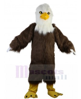 Eagle mascot costume