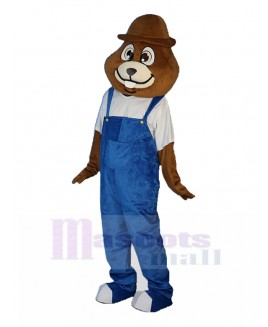 mole mascot costume