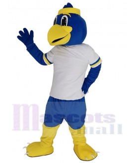 Bird mascot costume