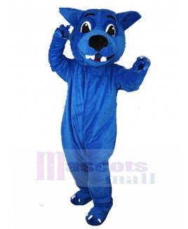 wolf mascot costume