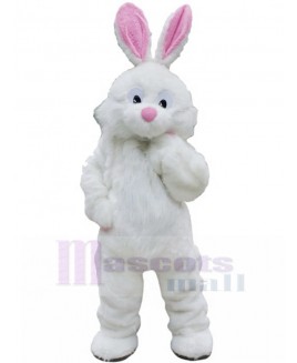 Rabbit mascot costume