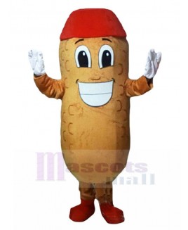 Peanut mascot costume