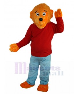 Bear mascot costume