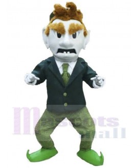 Leprechaun mascot costume