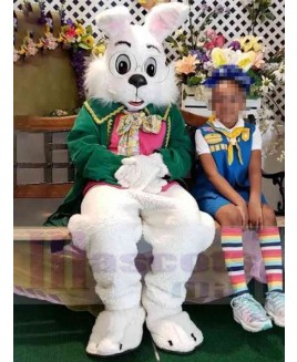 Wendell Rabbit mascot costume