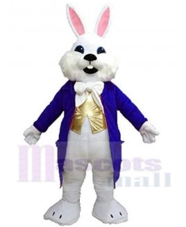 Easter Bunny mascot costume