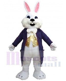 Easter Bunny mascot costume