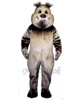 Cute Tuffy Bulldog Mascot Costume