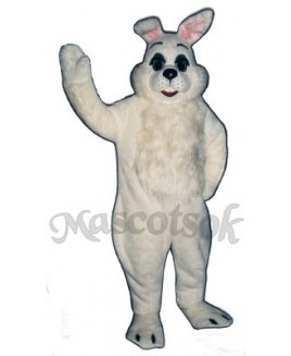 Easter Bunny Rabbit Mascot Costume