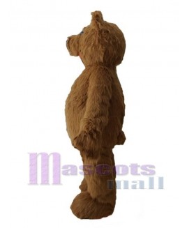 Bear mascot costume