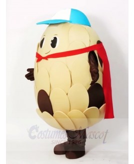 Cone in Red Cloak Mascot Costumes Plant