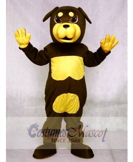 Cute Rottweiler Dog Mascot Costumes Animal