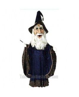 Wizard Mascot Costume