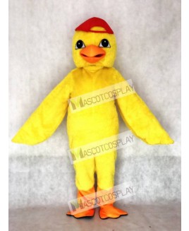 Cute Yellow Chick Mascot Costume with Red Hat