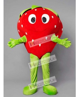 Strawberry Mascot Costume Fruit