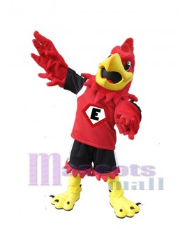 Eagle mascot costume