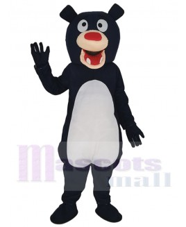 Bear mascot costume