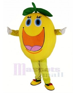 Cute Round Orange Mascot Costume