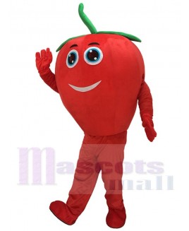 Cute Red Tomato with Smile Mascot Costume