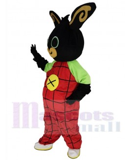 Easter Bunny Rabbit mascot costume