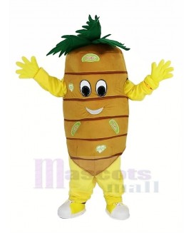 Orange Carrot Vegetable Mascot Costume Cartoon	