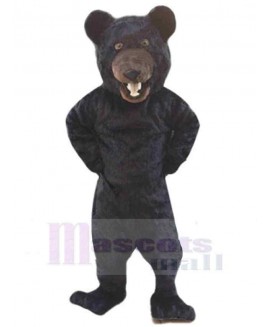 Bear mascot costume