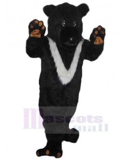 Bear mascot costume