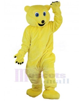 Bear mascot costume