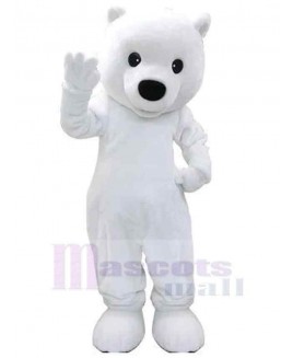 Bear mascot costume