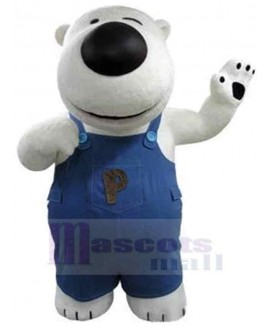 Bear mascot costume