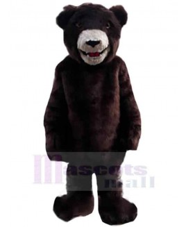 Bear mascot costume