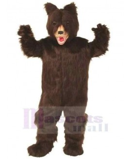 Bear mascot costume