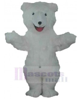 Bear mascot costume