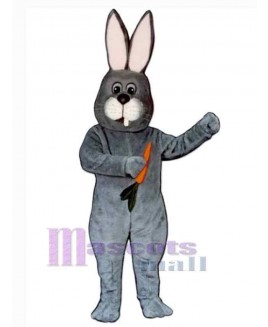 Easter Bunny Rabbit mascot costume