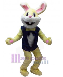 Easter Bunny Rabbit mascot costume