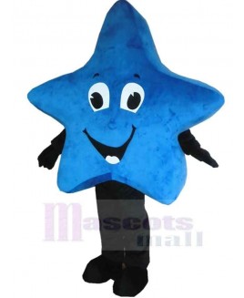 Star mascot costume