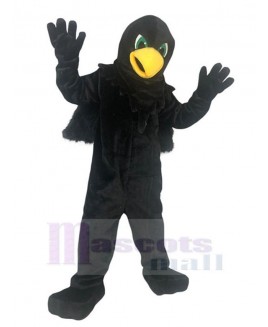 Eagle Hawk mascot costume