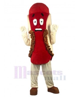 Hotdog mascot costume