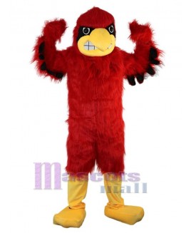 Eagle mascot costume