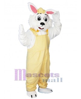 Bunny mascot costume