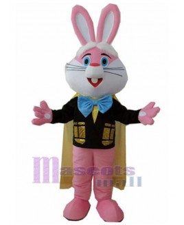 Rabbit mascot costume